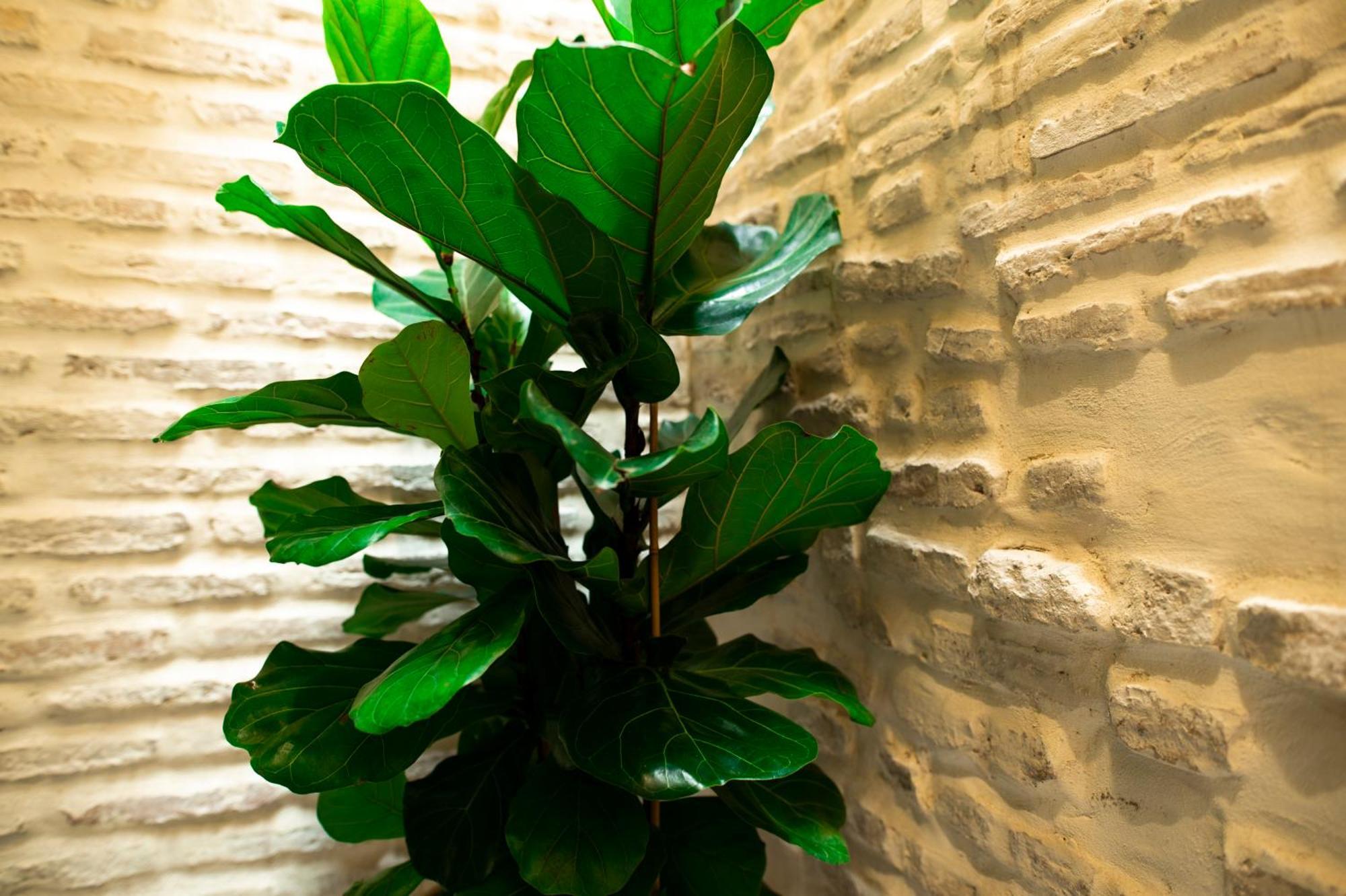 Legado Magdalena Hotel Sevilla Dış mekan fotoğraf