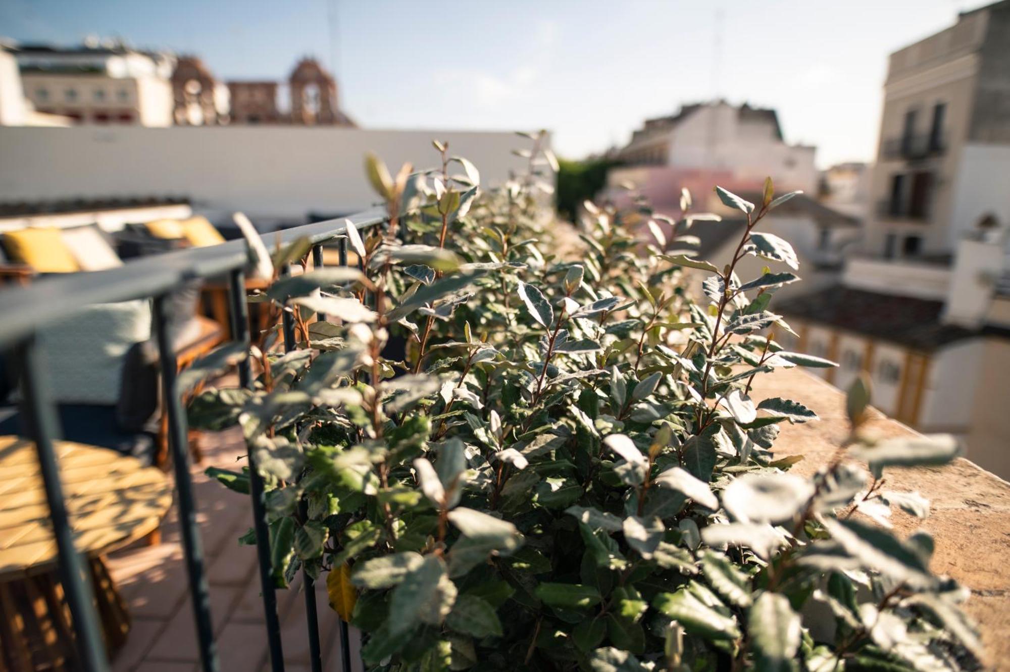 Legado Magdalena Hotel Sevilla Dış mekan fotoğraf